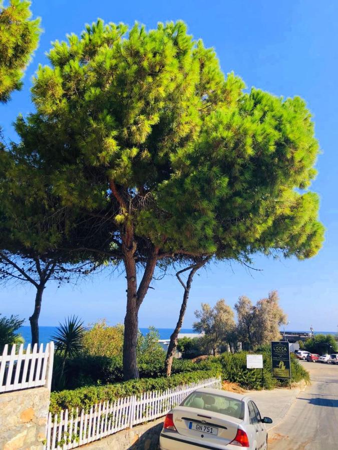 Sea & Sky Bungalows Next To Escape Beach Krini エクステリア 写真